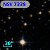 NSV  7338
