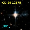 CD-29 12175