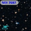 NSV  7607