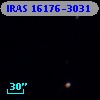 IRAS 16176-3031