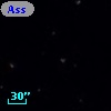 Ass Sco OB   2-46