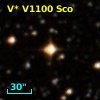 V* V1100 Sco