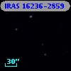 IRAS 16236-2859