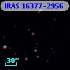 IRAS 16377-2956