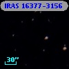 IRAS 16377-3156