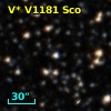 V* V1181 Sco