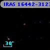 IRAS 16442-3123