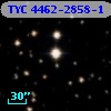 TYC 4462-2858-1