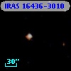 IRAS 16436-3010