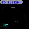 CD-31 13204