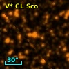 V* CL Sco