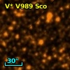 V* V989 Sco