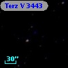 Terz V 3443