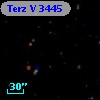 Terz V 3445