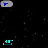 V* V466 Sco