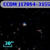 CD-31 13603