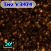 Terz V 3474