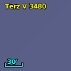Terz V 3480