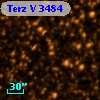 Terz V 3484