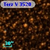 Terz V 3520