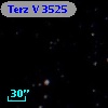 Terz V 3525
