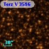 Terz V 3586