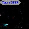 Terz V 3597