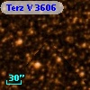 Terz V 3606