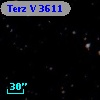 Terz V 3611