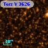 Terz V 3626