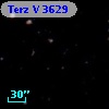 Terz V 3629