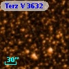 Terz V 3632