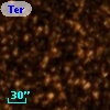Terz V 3663