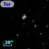 Terz V 3697