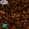 V* V463 Sco