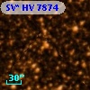 SV* HV  7874