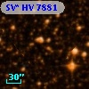 SV* HV  7881