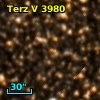 Terz V 3980