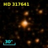 HD 317641