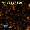 V* V1117 Sco