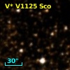 V* V1125 Sco
