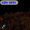 LDN 1691