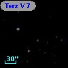 Terz V    7