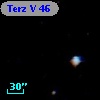 Terz V   46