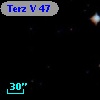 Terz V   47
