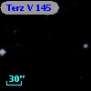 Terz V  145