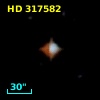 HD 317582