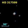 HD 317599