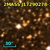 2MASS J17290278-3133571
