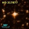 HD 317877